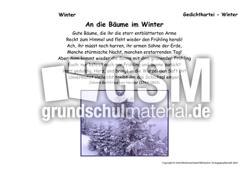 Baeume-im-Winter-Herder.pdf